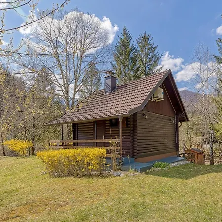 Chalet Rozi's Riverside - Happy Osilnica