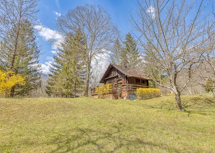 Rozi's Riverside - Happy * Osilnica