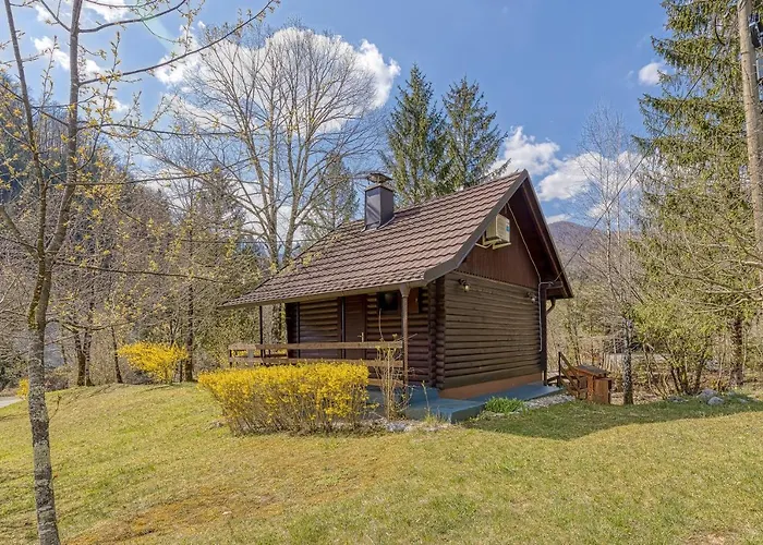 Chalet Rozi's Riverside - Happy Osilnica